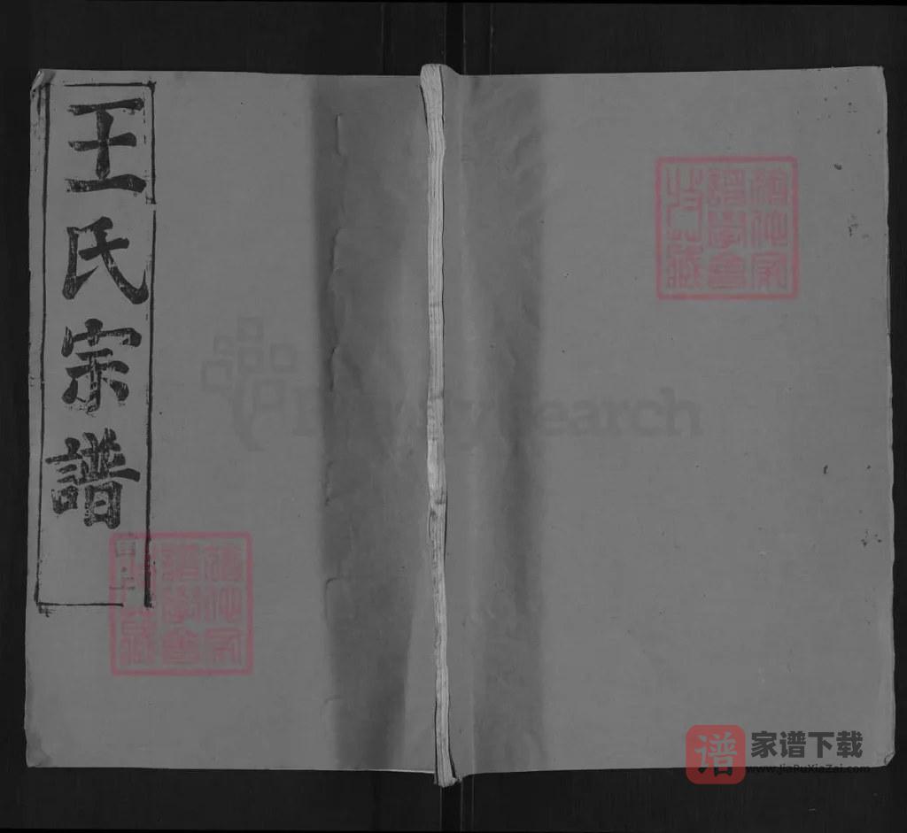 图片[1]-湖北黄冈王氏宗谱（三槐堂）PDF高清电子版下载-家谱下载