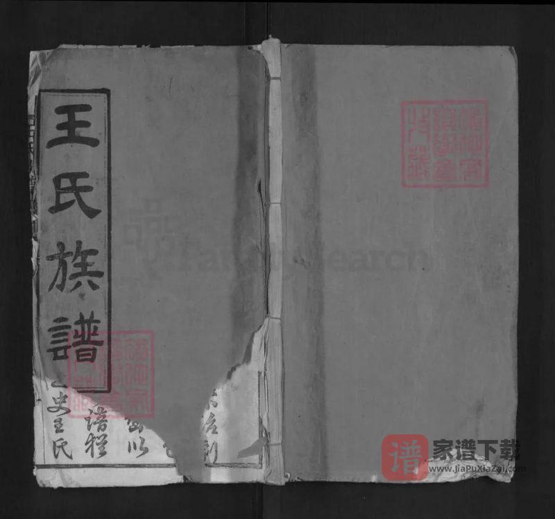 湖北黄冈王氏族谱(槐荫堂,红安沙溪、麻城矿山合修谱)PDF高清电子版下载-家谱下载