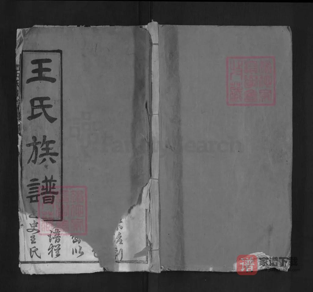 图片[1]-湖北黄冈王氏族谱（槐荫堂，红安沙溪、麻城矿山合修谱）PDF高清电子版下载-家谱下载