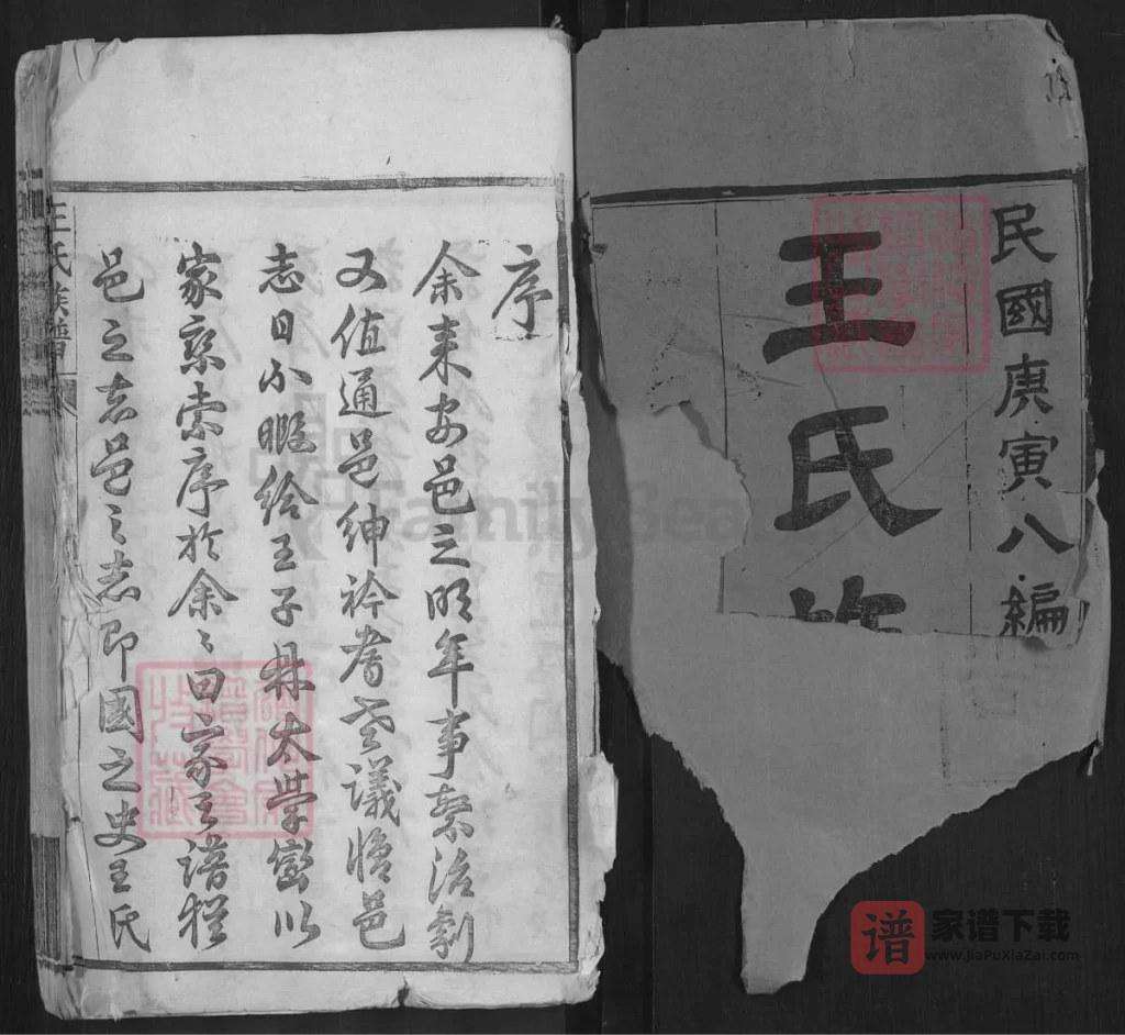 图片[2]-湖北黄冈王氏族谱（槐荫堂，红安沙溪、麻城矿山合修谱）PDF高清电子版下载-家谱下载