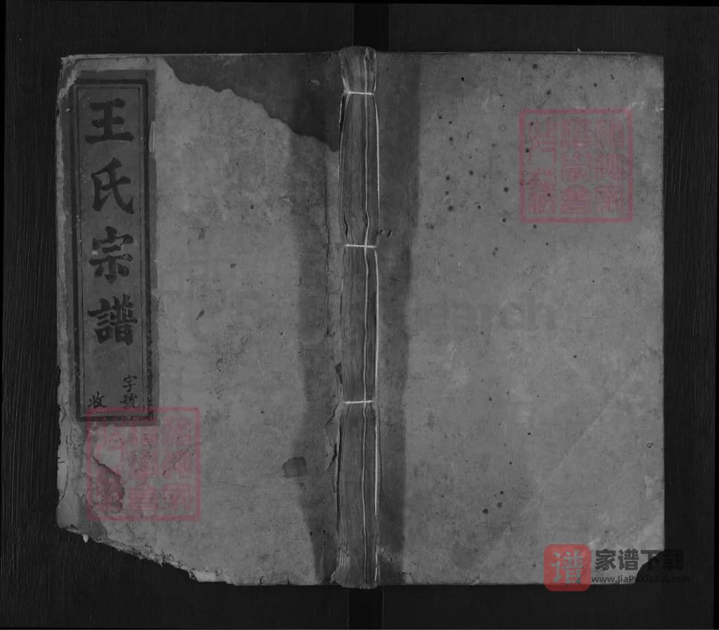 图片[1]-安徽安庆宿松王氏宗谱PDF高清电子版下载-家谱下载