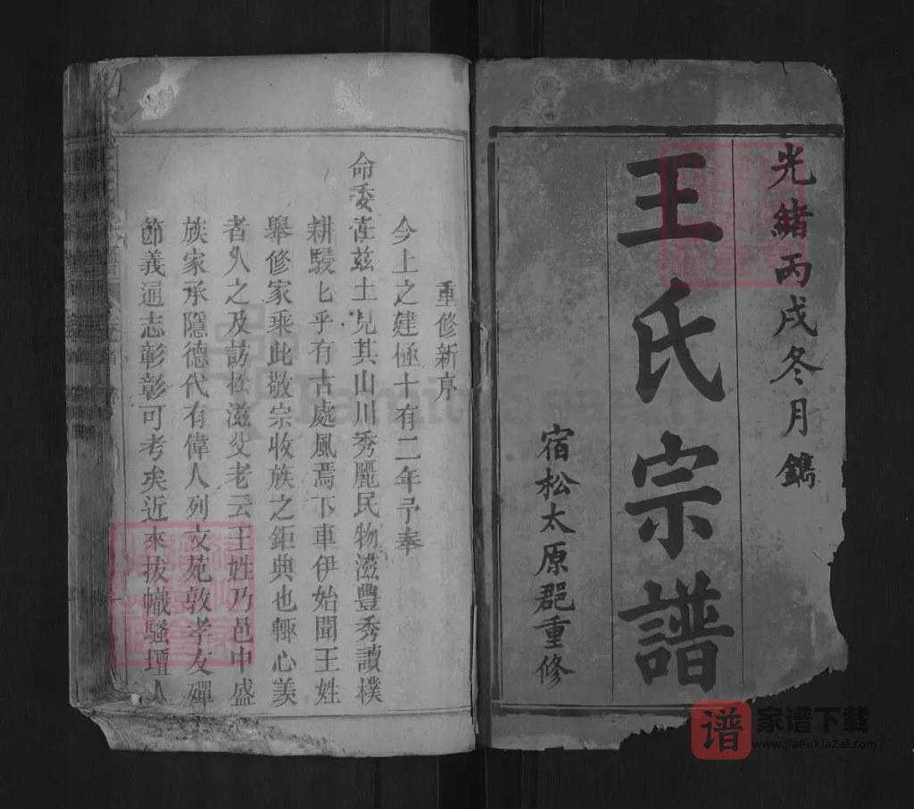 图片[2]-安徽安庆宿松王氏宗谱PDF高清电子版下载-家谱下载