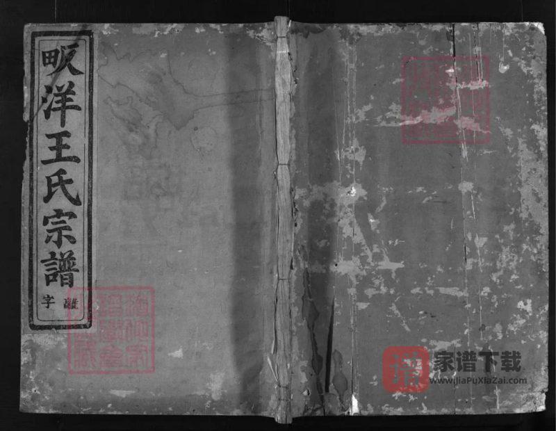 浙江金华瀫西畈洋王氏宗譜PDF高清电子版下载-家谱下载