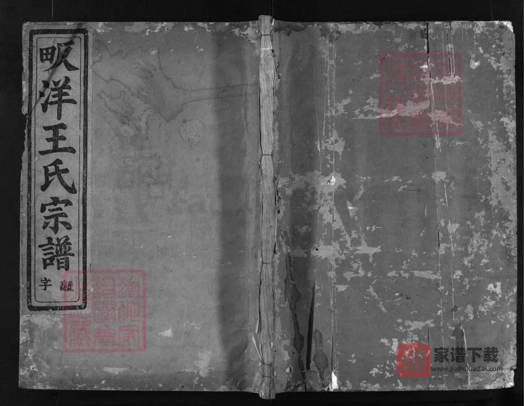图片[1]-浙江金华瀫西畈洋王氏宗譜PDF高清电子版下载-家谱下载