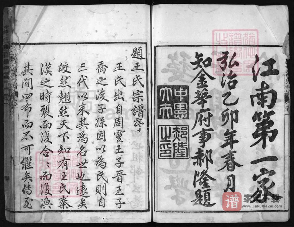 图片[2]-浙江金华瀫西畈洋王氏宗譜PDF高清电子版下载-家谱下载