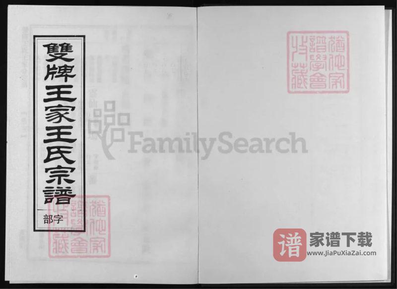 浙江兰溪双牌王氏王家分宗谱（宝训堂）PDF高清电子版下载-家谱下载