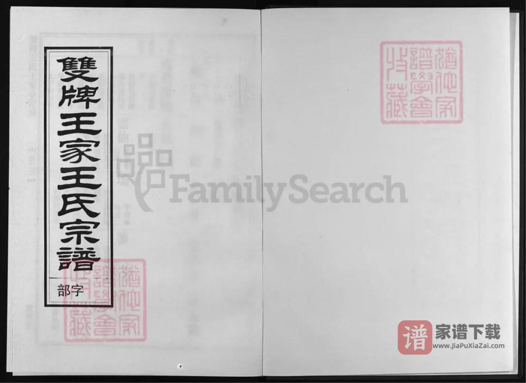图片[1]-浙江兰溪双牌王氏王家分宗谱（宝训堂）PDF高清电子版下载-家谱下载
