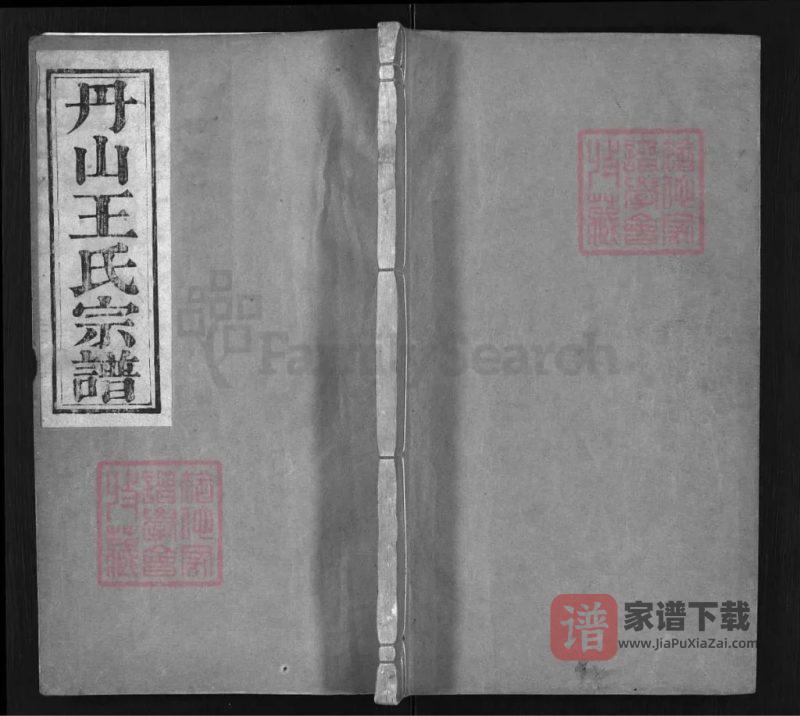 浙江兰溪丹山王氏宗谱（三槐堂）PDF高清电子版下载-家谱下载