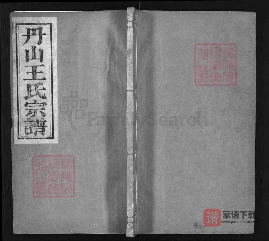 图片[1]-浙江兰溪丹山王氏宗谱（三槐堂）PDF高清电子版下载-家谱下载
