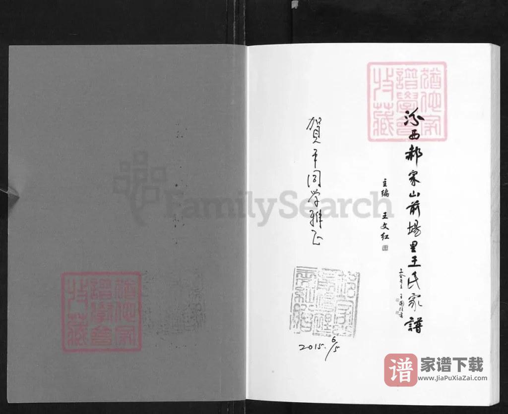 图片[2]-山西临汾汾西郝家山前场里王氏家谱PDF高清电子版下载-家谱下载