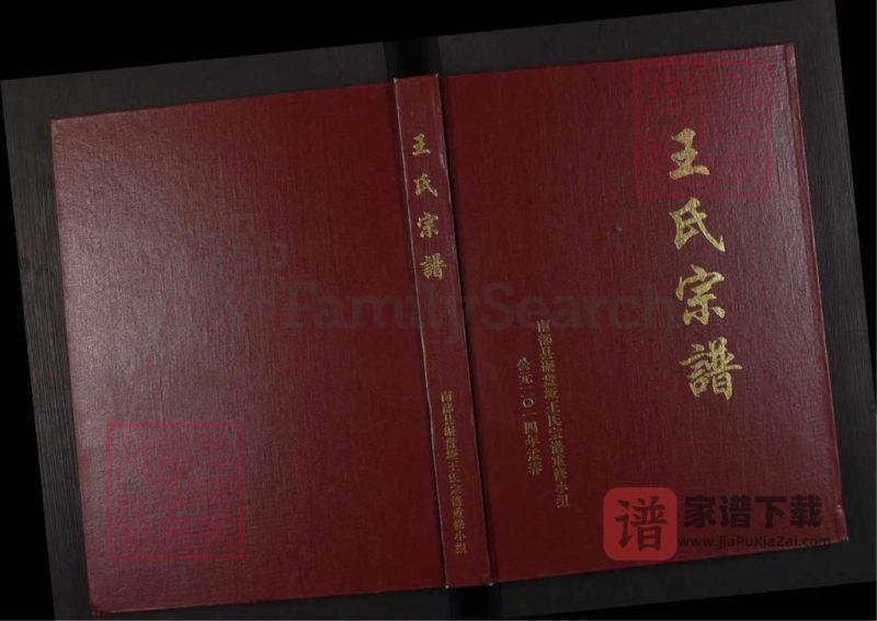 四川南充南部县王氏宗谱碾盘垭支谱（太原堂）PDF高清电子版下载-家谱下载