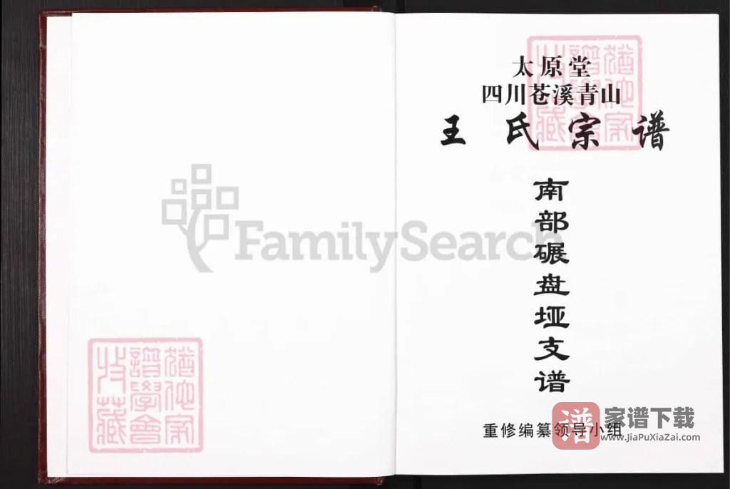 图片[2]-四川南充南部县王氏宗谱碾盘垭支谱（太原堂）PDF高清电子版下载-家谱下载
