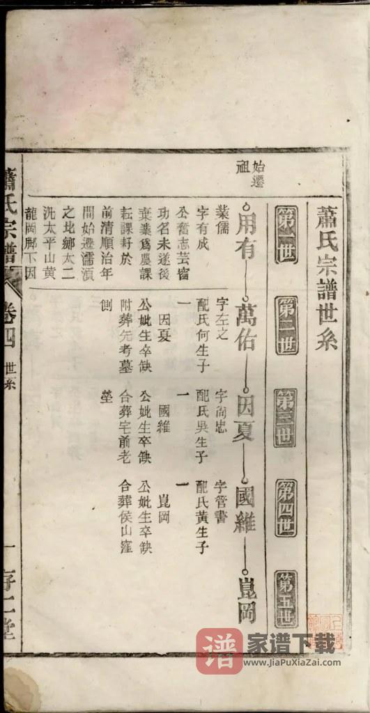 图片[2]-安徽无为濡须萧(肖)氏宗谱（存仁堂）PDF高清电子版下载-家谱下载