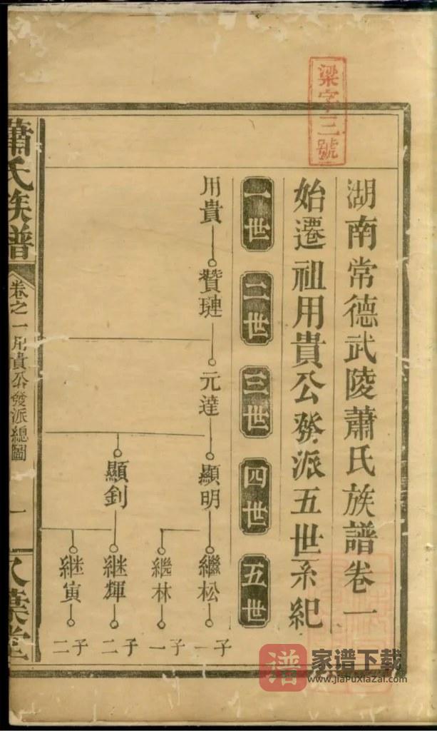 图片[2]-湖南常德武陵萧(肖)氏族谱（八叶堂）PDF高清电子版下载-家谱下载