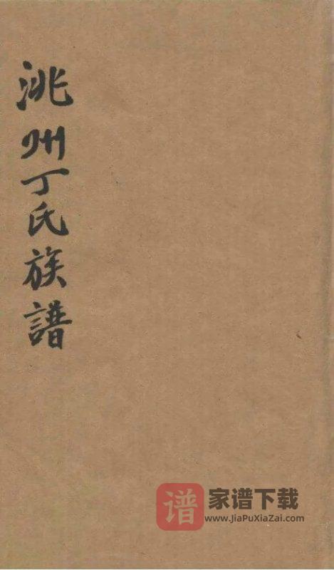 甘肃临潭洮州丁氏家谱PDF高清电子版下载-家谱下载