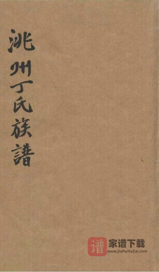 图片[1]-甘肃临潭洮州丁氏家谱PDF高清电子版下载-家谱下载