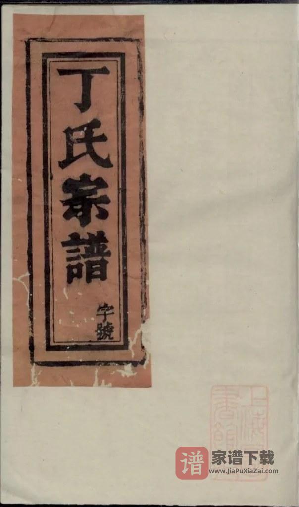 图片[1]-浙江丽水缙云县丁氏宗谱PDF高清电子版下载-家谱下载