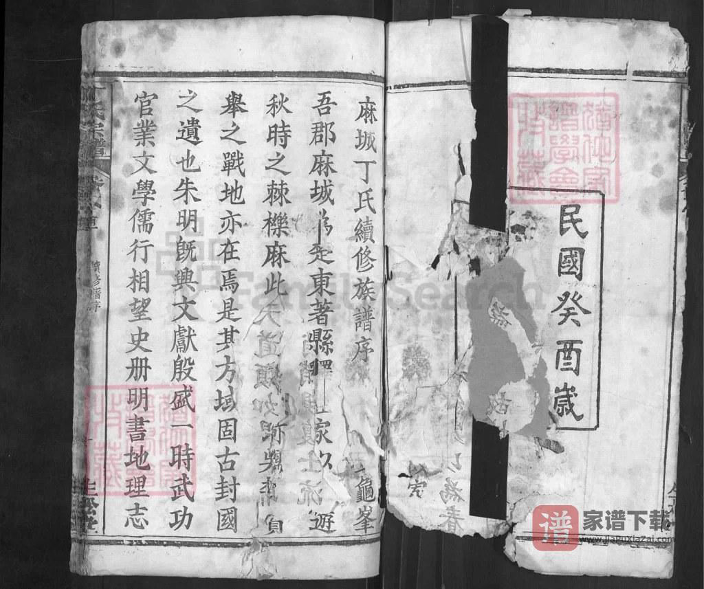 图片[2]-湖北麻城丁氏续修族谱（生松堂）PDF高清电子版下载-家谱下载