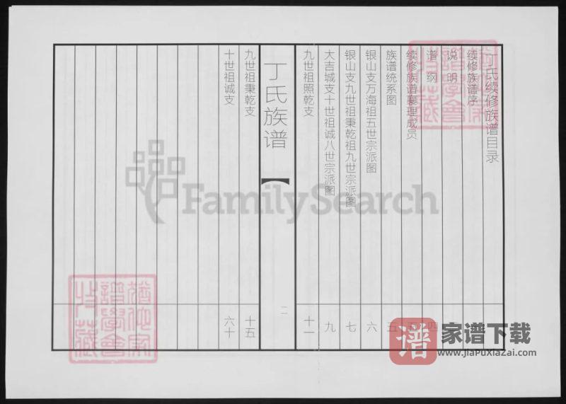 山东泰安东平县丁氏族谱PDF高清电子版下载-家谱下载