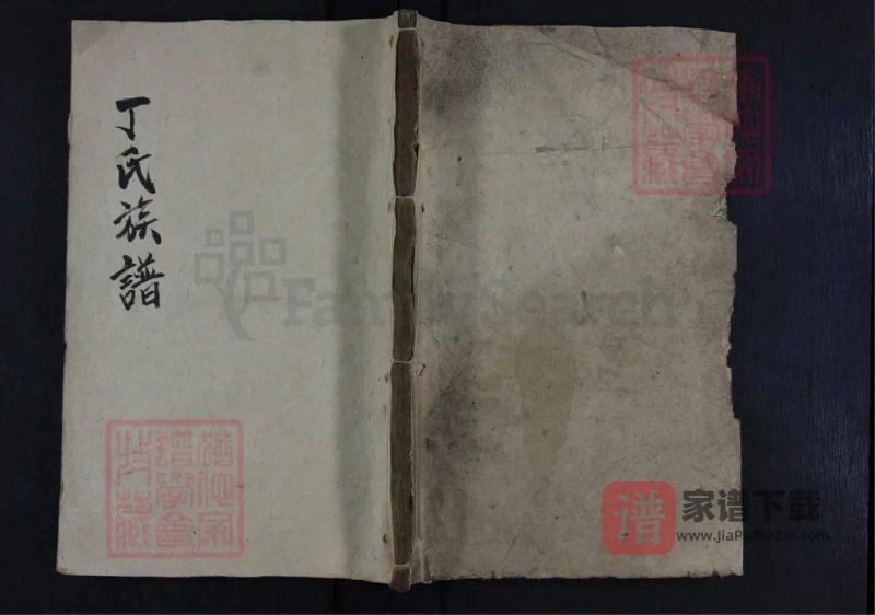湖南常德石门丁氏族谱(传易堂)PDF高清电子版下载-家谱下载