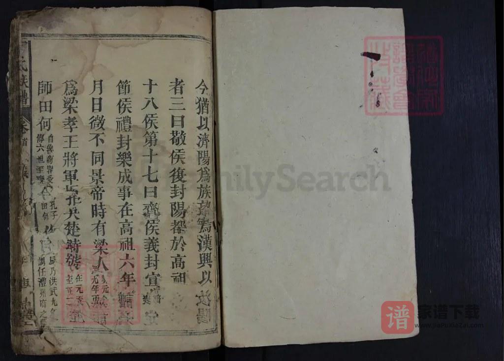 图片[2]-湖南常德石门丁氏族谱（传易堂）PDF高清电子版下载-家谱下载