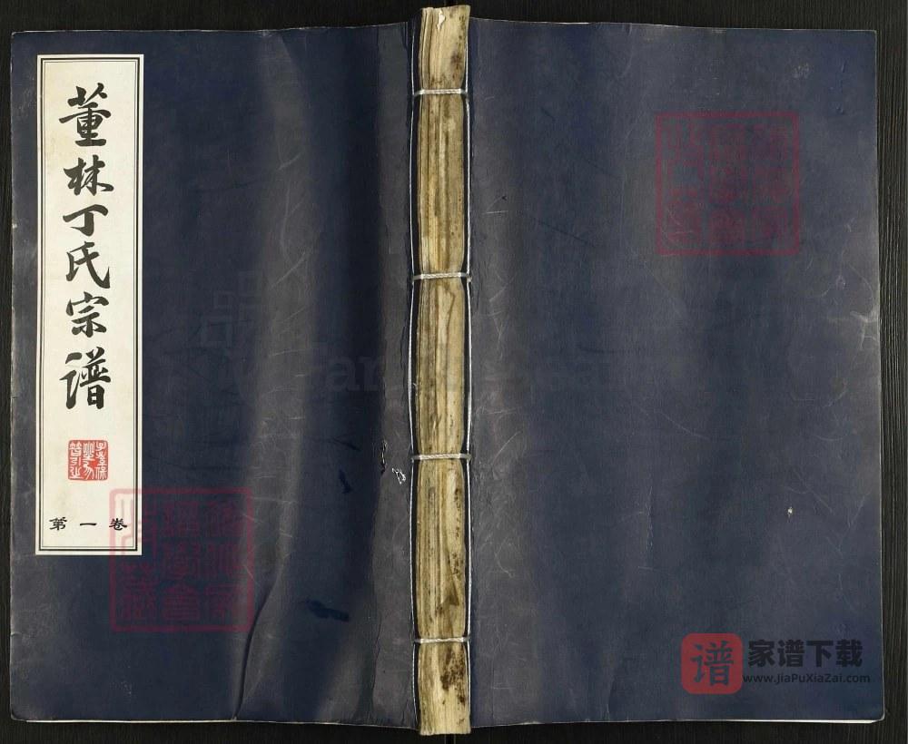 图片[1]-江苏常州董林丁氏宗谱（双桂堂）PDF高清电子版下载-家谱下载