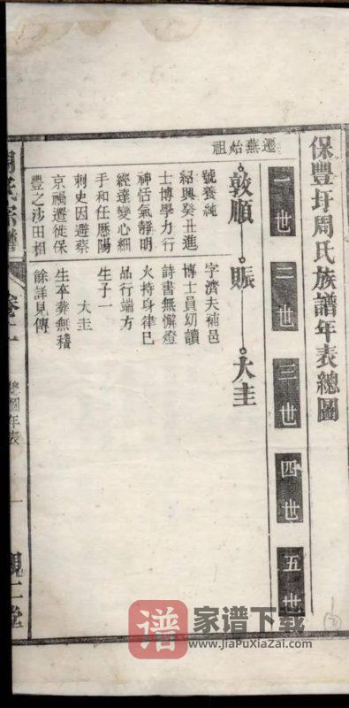 安徽芜湖保丰圩周氏族谱（亲仁堂）PDF高清电子版下载-家谱下载
