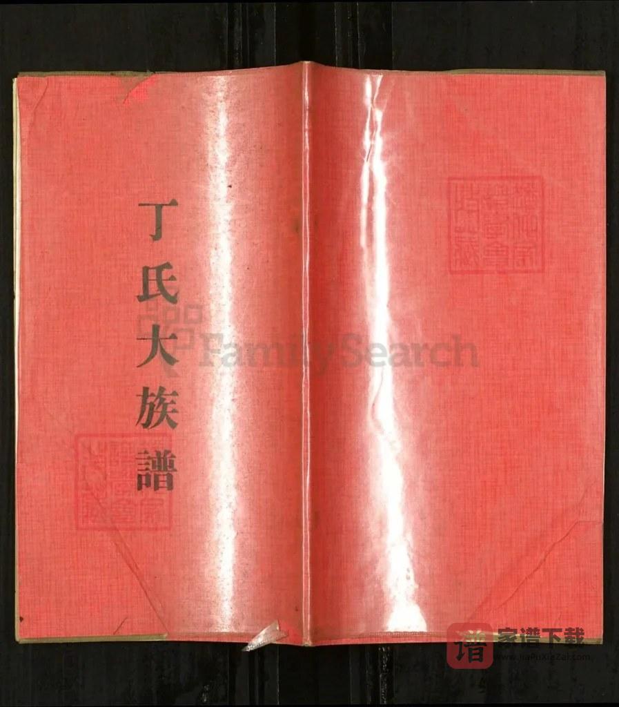 图片[1]-山东日照丁氏大族谱PDF高清电子版下载-家谱下载