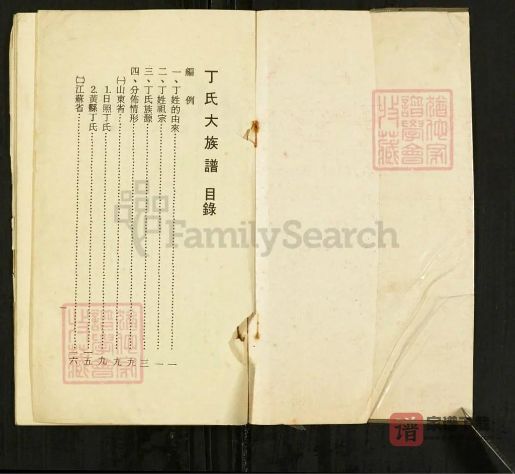 图片[2]-山东日照丁氏大族谱PDF高清电子版下载-家谱下载