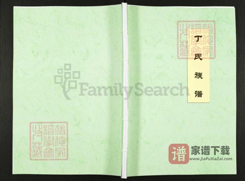 山东日照丁氏族谱PDF高清电子版下载-家谱下载