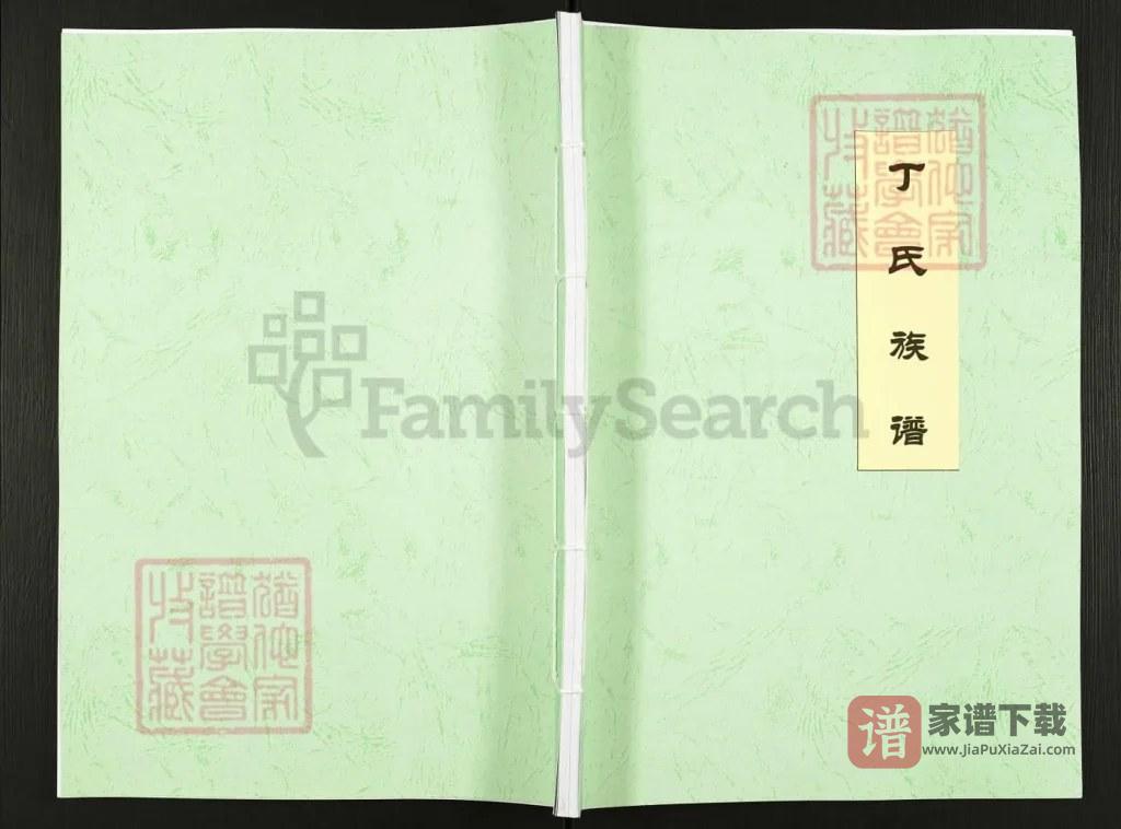图片[1]-山东日照丁氏族谱PDF高清电子版下载-家谱下载