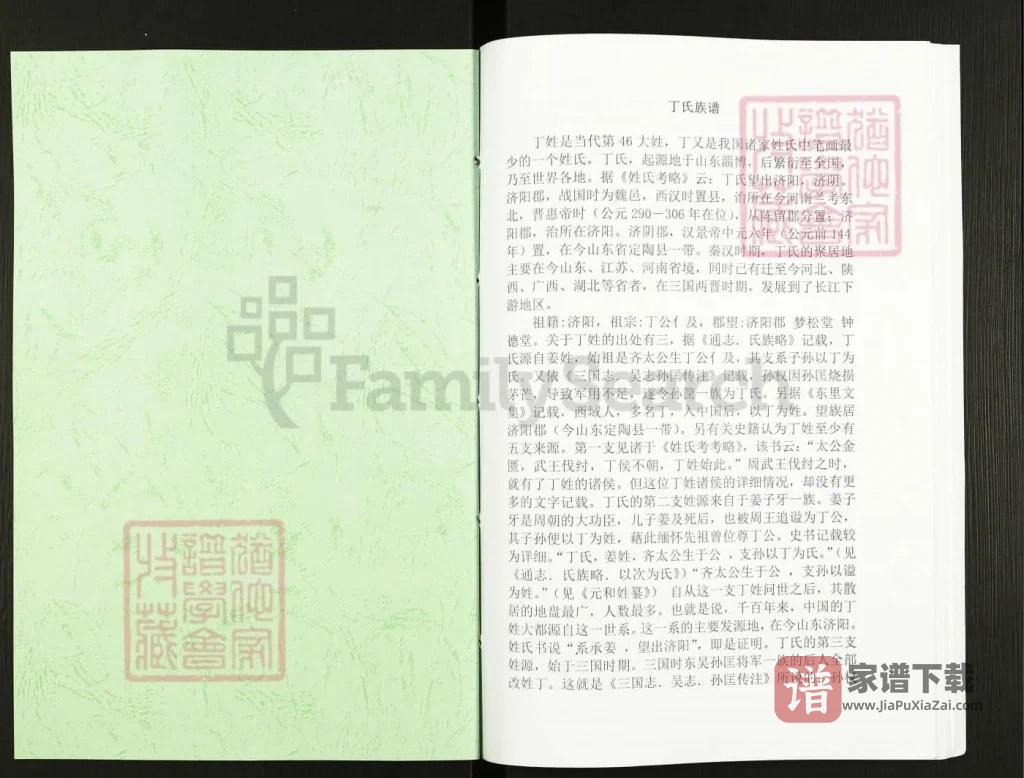图片[2]-山东日照丁氏族谱PDF高清电子版下载-家谱下载