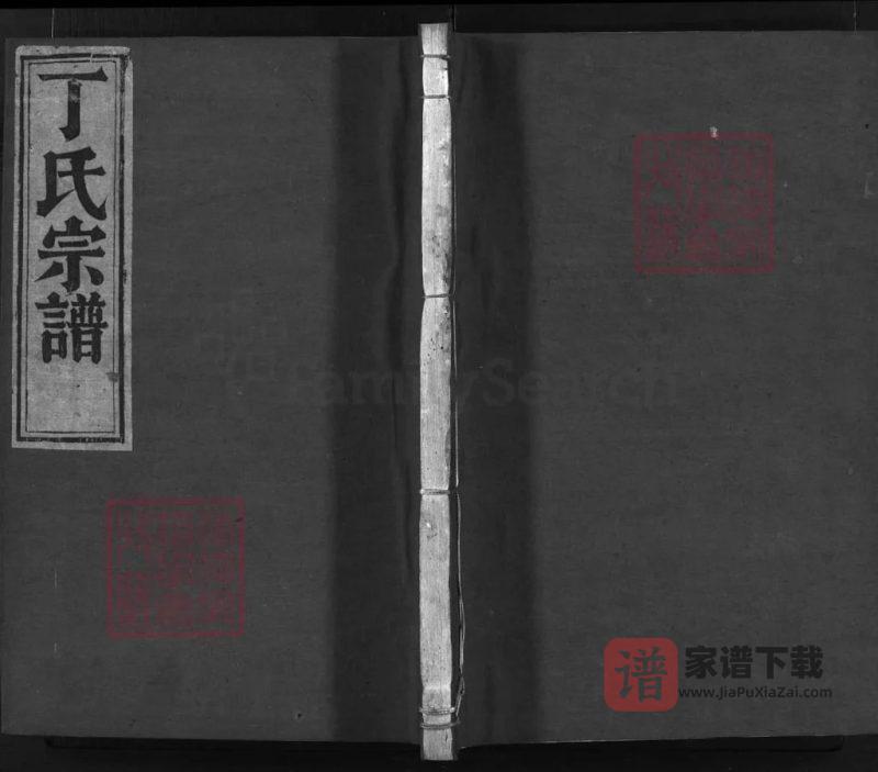 浙江兰溪南院丁氏宗谱PDF高清电子版下载-家谱下载