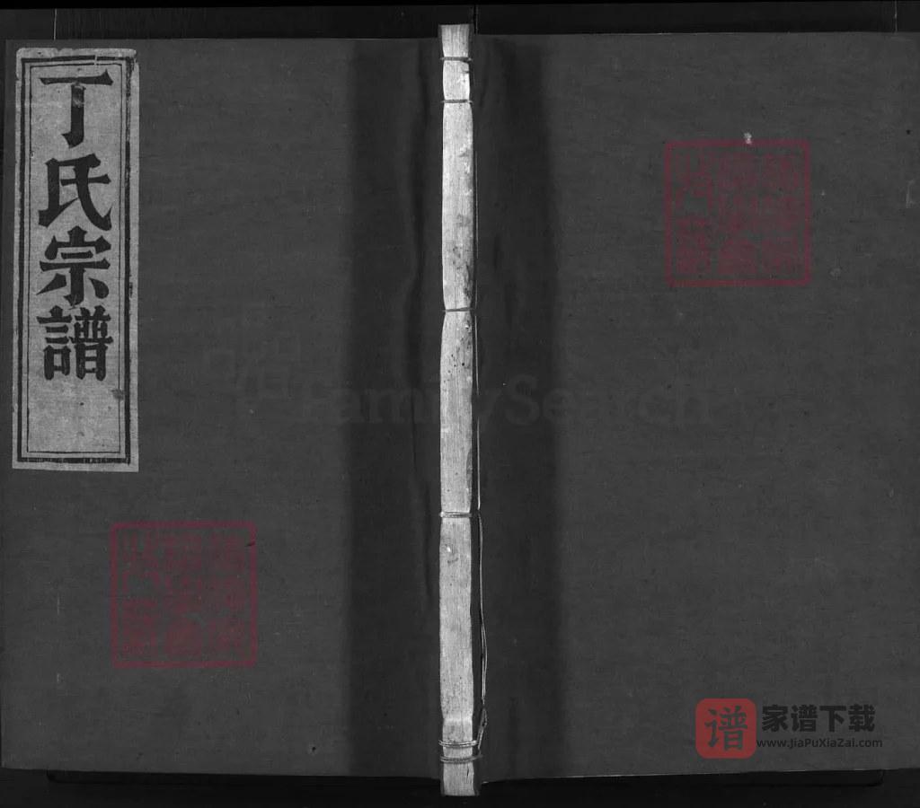 图片[1]-浙江兰溪南院丁氏宗谱PDF高清电子版下载-家谱下载