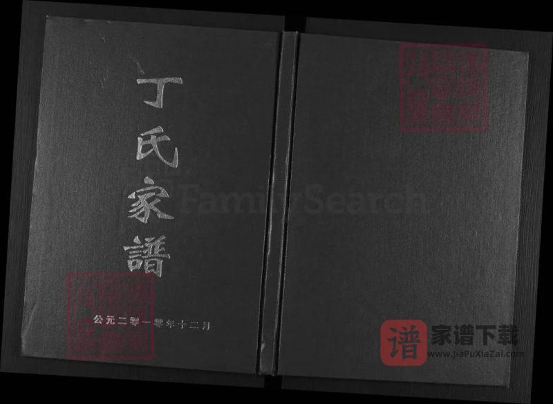 四川遂宁蓬溪县丁氏家谱PDF高清电子版下载-家谱下载