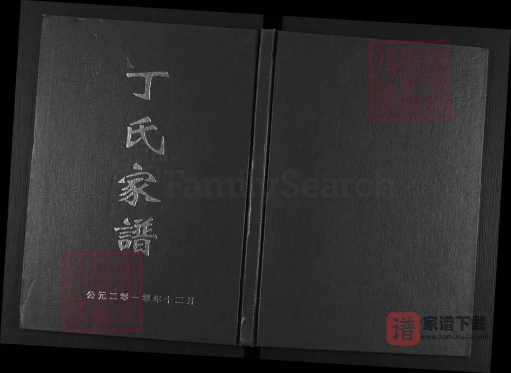 图片[1]-四川遂宁蓬溪县丁氏家谱PDF高清电子版下载-家谱下载