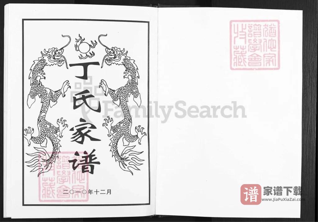 图片[2]-四川遂宁蓬溪县丁氏家谱PDF高清电子版下载-家谱下载