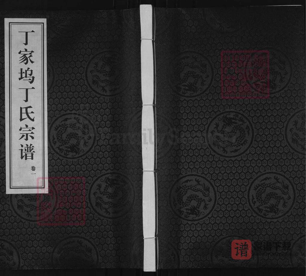 图片[1]-浙江诸暨暨阳概浦丁家坞丁氏宗谱（敦伦堂）PDF高清电子版下载-家谱下载