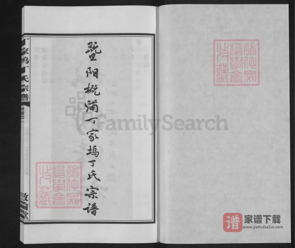 图片[2]-浙江诸暨暨阳概浦丁家坞丁氏宗谱（敦伦堂）PDF高清电子版下载-家谱下载