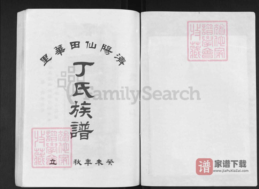 图片[1]-山东济南济阳区仙田华里丁氏族谱PDF高清电子版下载-家谱下载