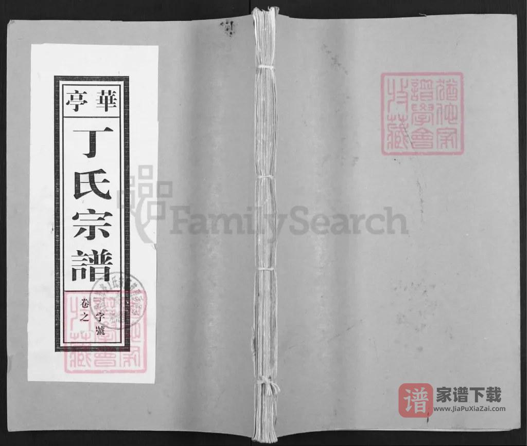 图片[1]-安徽马鞍山当涂县华亭丁氏宗谱（光裕堂）PDF高清电子版下载-家谱下载