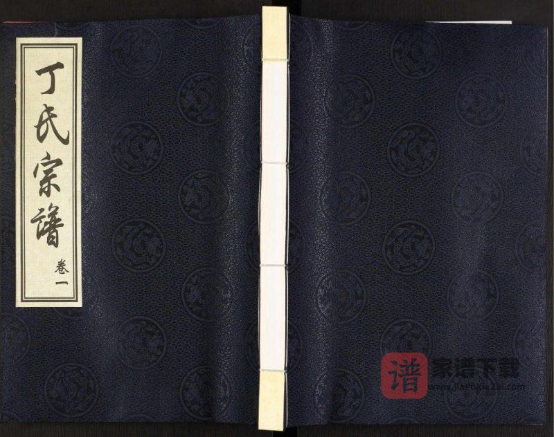 江苏常州武进区丁氏宗谱（儒林堂）PDF高清电子版下载-家谱下载