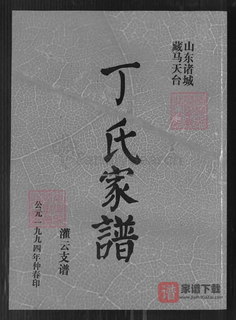 图片[1]-山东诸城藏马天台丁氏家谱灌云支谱（寻源堂）PDF高清电子版下载-家谱下载