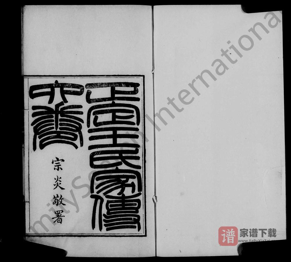 图片[1]-河北石家庄正定王氏家传PDF高清电子版下载-家谱下载