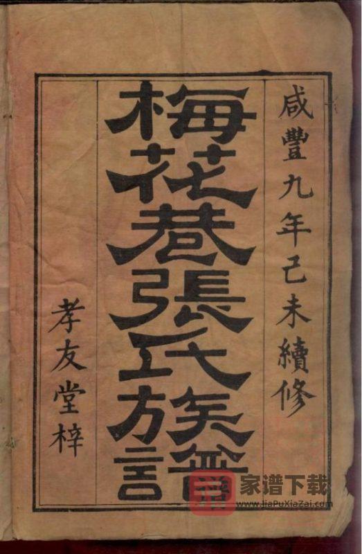湖南浏阳梅花巷张氏族谱（孝友堂）PDF高清电子版下载-家谱下载