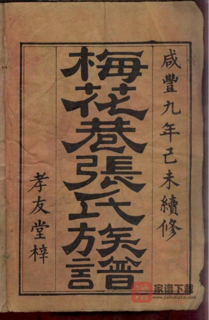 湖南浏阳梅花巷张氏族谱（孝友堂）PDF高清电子版下载