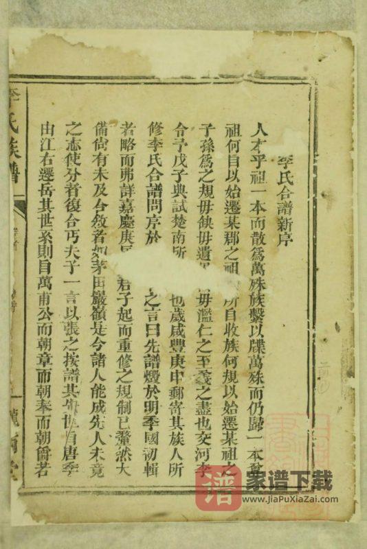 湖南岳阳李氏族谱（陇西堂）PDF高清电子版下载-家谱下载