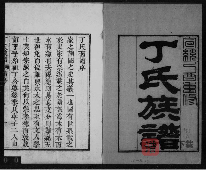 山东烟台龙口丁氏族谱PDF高清电子版下载-家谱下载