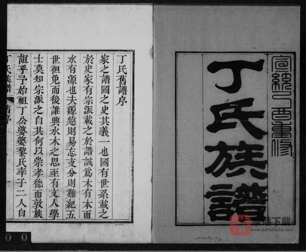 图片[1]-山东烟台龙口丁氏族谱PDF高清电子版下载-家谱下载