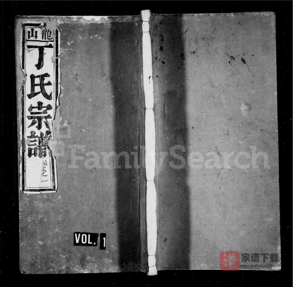 图片[1]-安徽芜湖南陵龙山丁氏宗谱PDF高清电子版下载-家谱下载